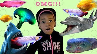 The Baltimore Aquarium- Kids Fun Day and Sharks Next Me !!