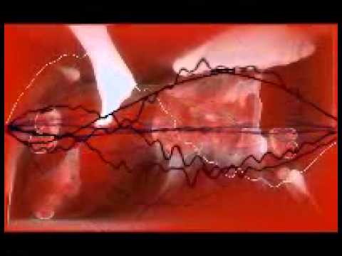 FatboySlim - Right Here Right Now (Zsigweed ReWork)