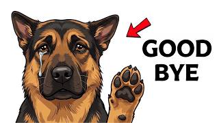 10 Heartbreaking Signs Your Dog Is Saying Goodbye