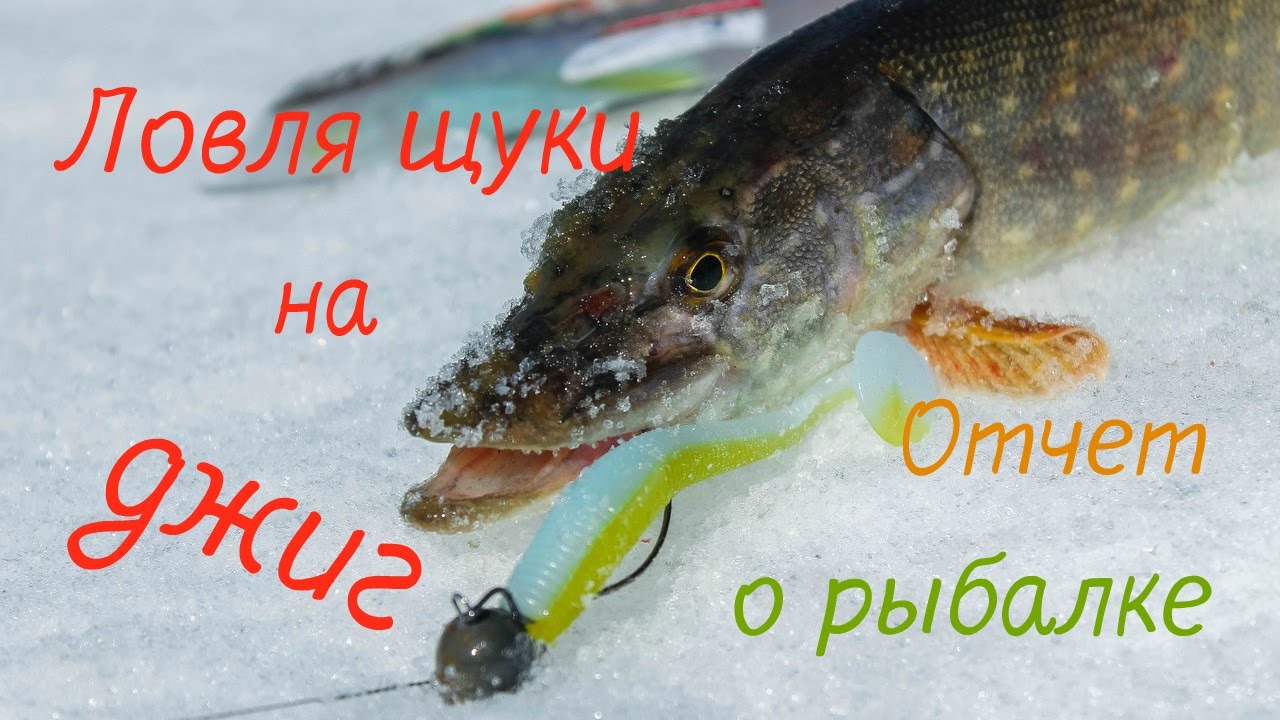 статьи как ловить щуку статьи как ловить щуку