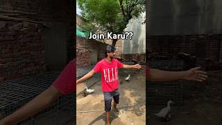 Dost ne bola Setup Join karlo ya nai??#youtubeshorts #shorts #viralvideo