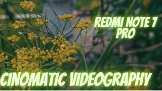 nature cinematic video status- nature cinematic video -nature cinematic video mobile screenshot 4