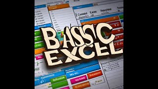Celebrity Basic Excel 9 Data Validation and Protection Net Worth