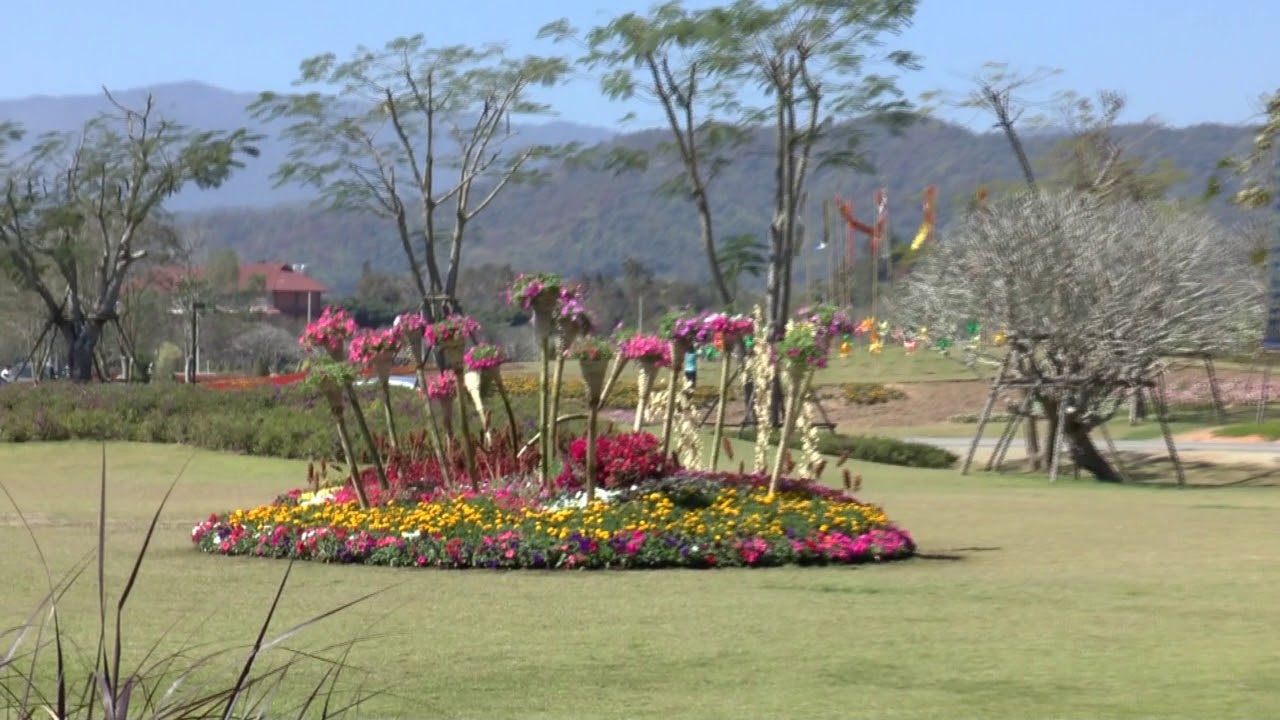 Chiang Rai Singha Park YouTube chiang-rai-singha-park-youtube