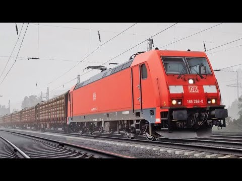 Video: Le Persone Dietro Train Simulator Stanno Realizzando Un Simulatore Di Pesca