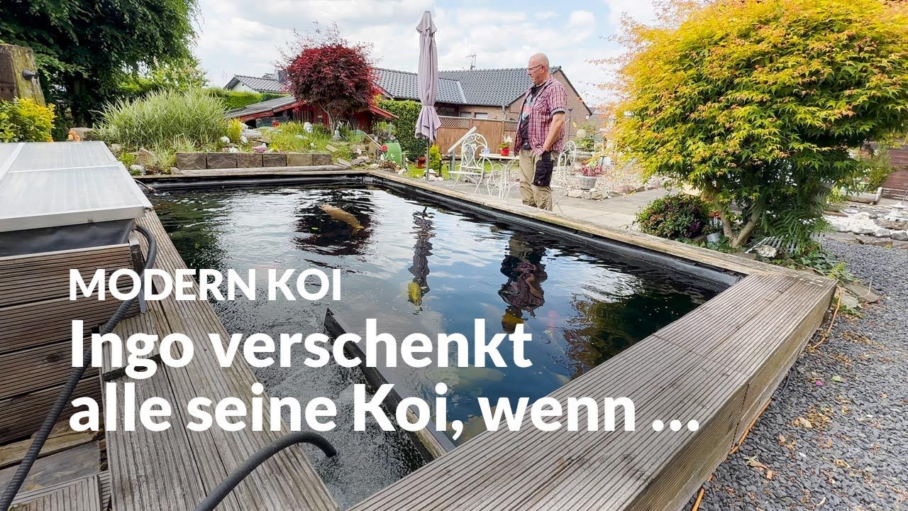 Ingo steht kurz vor Ende des Koi Hobbys | Modern Koi Blog #7527