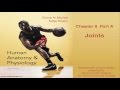 علم التشريح وعلم وظائف الأعضاء الفصل الثامن المحاضرة الجزء أ المفاصل علم التشريح وعلم وظائف الأعضاء الفصل الثامن المحاضرة الجزء أ المفاصل