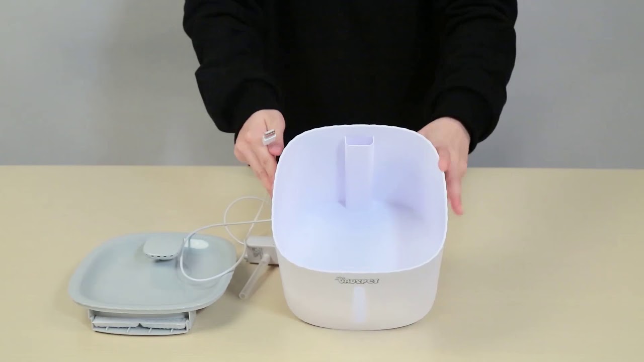 Pet Water Fountain YouTube