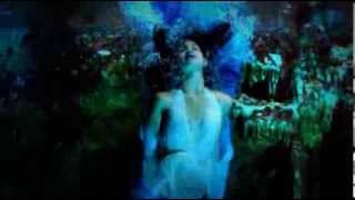 La Belle Dame Sans Regrets - Sting Video chords