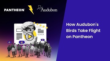 Content Delivery Network | Edge Configuration Tools and Advanced Caching for Audubon