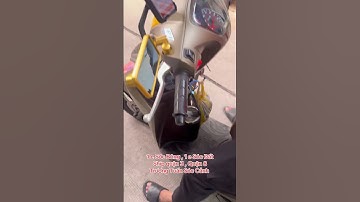 Sóc Bông , Sóc Đất ship Quận 3 , Quận 8 - Trương Tuấn Sóc Cảnh