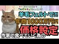 衝撃！「適正価格」は育てろ！羊毛フェルトで年商1000万円のリアル　#羊毛フェルト　#羊毛フェルト猫　#羊毛フェルト犬 　#羊毛フェルト作り方　＃羊毛フェルト作家
