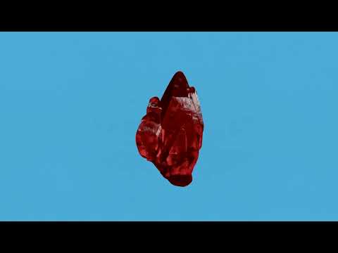 Girls In Hawaii - Drifting In The Summer Rain (Visualizer)