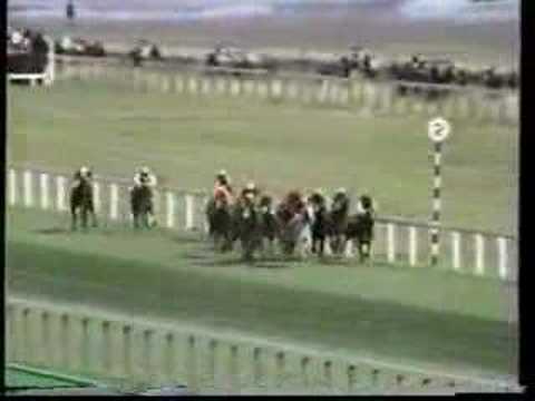 Bruni - 1975 St Leger