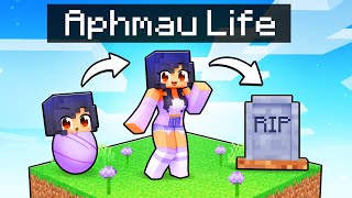 Having An Aphmau Life In Minecraft