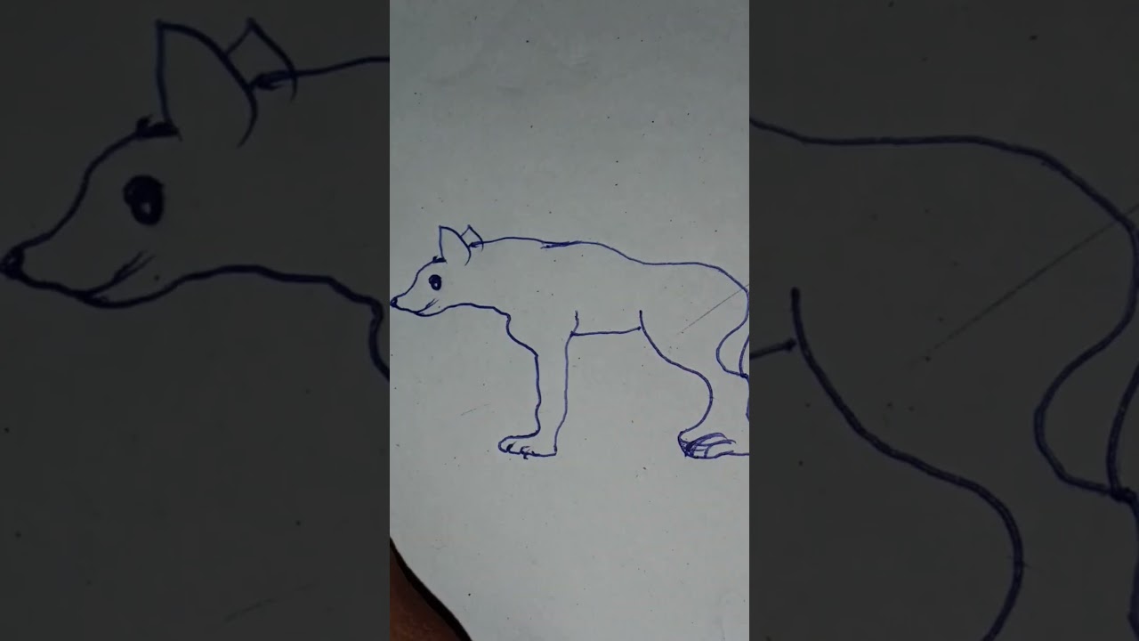 How to draw Hyena 