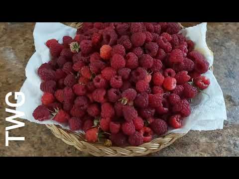 Video: Melon Thiab Raspberry Jam