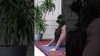 Yoga MUsic SG 10 #android #music #apple #artificialintelligence #bhfyp #coding