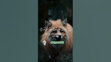 سورة الكافرون ( وَلَآ أَنتُمۡ عَٰبِدُونَ مَآ أَعۡبُدُ ) #foryou #funny #الحمدلله #الحمدلله #الله