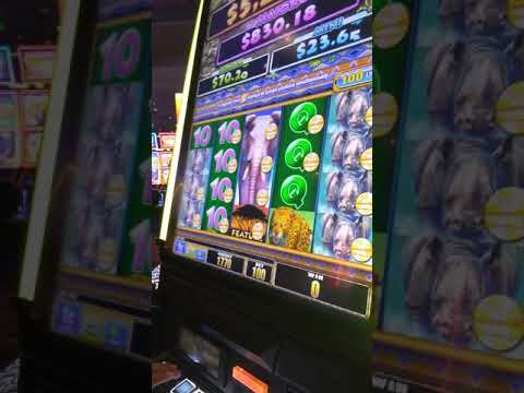 We Hit the Super RARE Mega Feature on the NEW Pharaoh Link Slot!