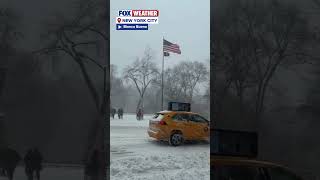 The Big Apple Was Covered In Snow After A Historic Winter Storm Blanketed New York City On Sunday