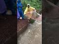 ഇഷ്ടപ്പെട്ടെങ്കിൽ സബ്സ്ക്രൈബ് ചെയ്യണേ#fishingmalayalam #short #shorts #shortvideo 🐟🐟🐟🐟🐟🐟🐟🐟🐟🐟🐟