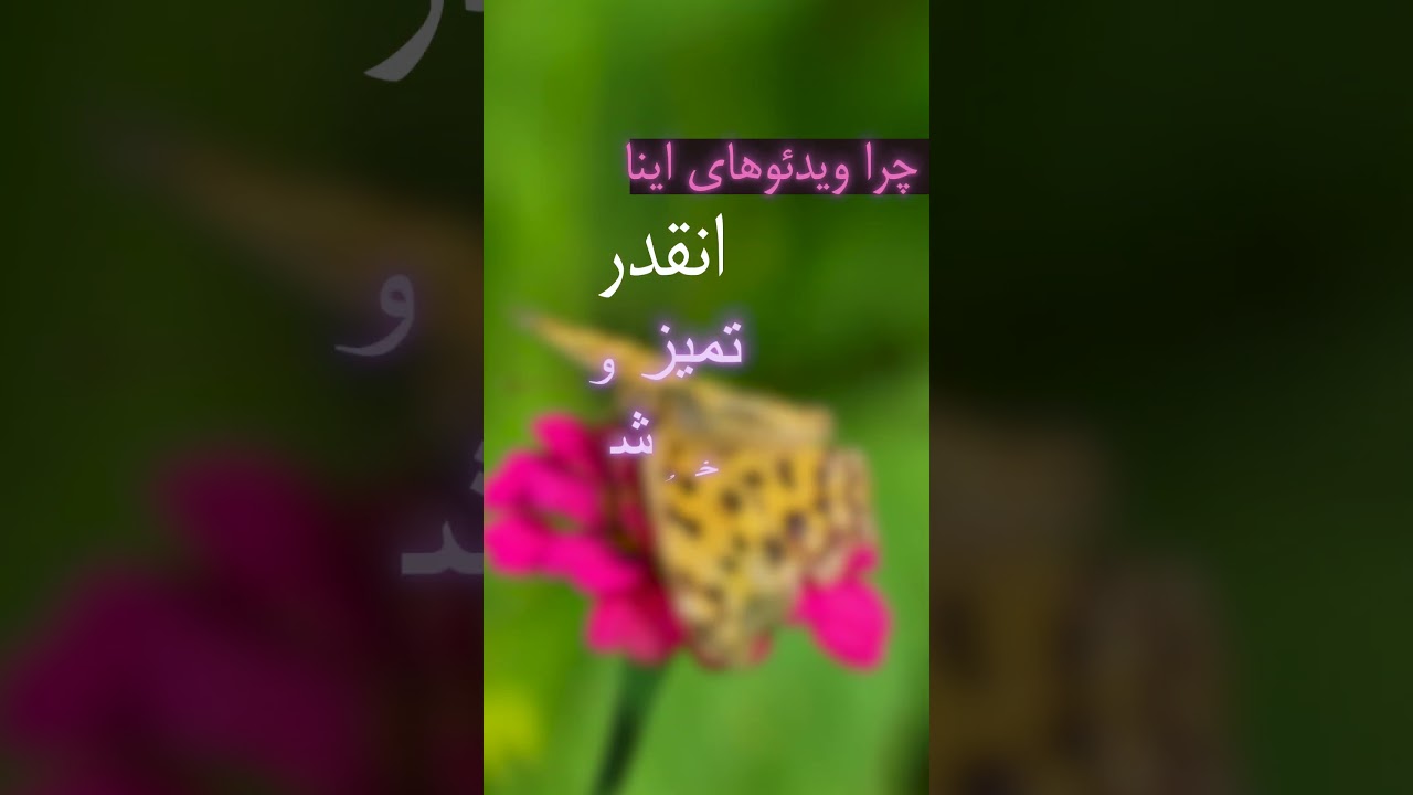 Effect Text
