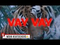 MIRE PASHA - “VAY VAY” (Prod. by Metyy) (Official Music Video - WSHH Heatseekers)