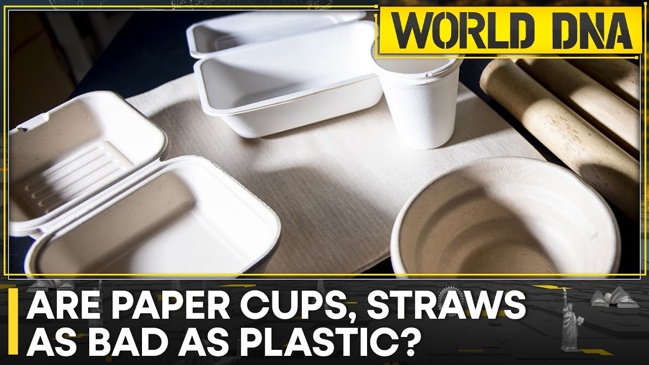 Paper cups are just as toxic as plastic cups
