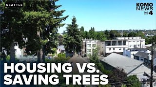 Seattle council weighs housing needs vs. tree preservation in growth plan debate