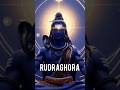 Rudraghora | The Fury of Shiva