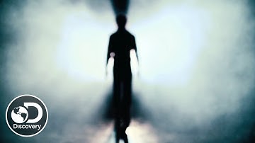 Does Our Consciousness Continue After Death?