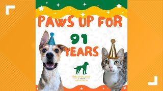 Animal Defense League celebrating 91 years with adoption special