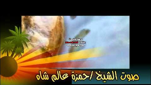 ماتيسر من سورة آل عمران من 23إلى27 للشيخ حمزة عالم شاه