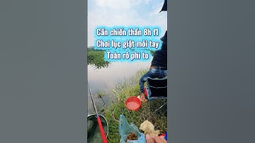 Cần đài chiến thần 8h f1 đánh lục giật mỏi tay toàn rô phi to #canchienthan8h