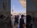 MADINA SHAREEF 💚 | HARA GUMBAD STATUS | YA RASULULLAH ﷺ | ISLAMIC SHORT