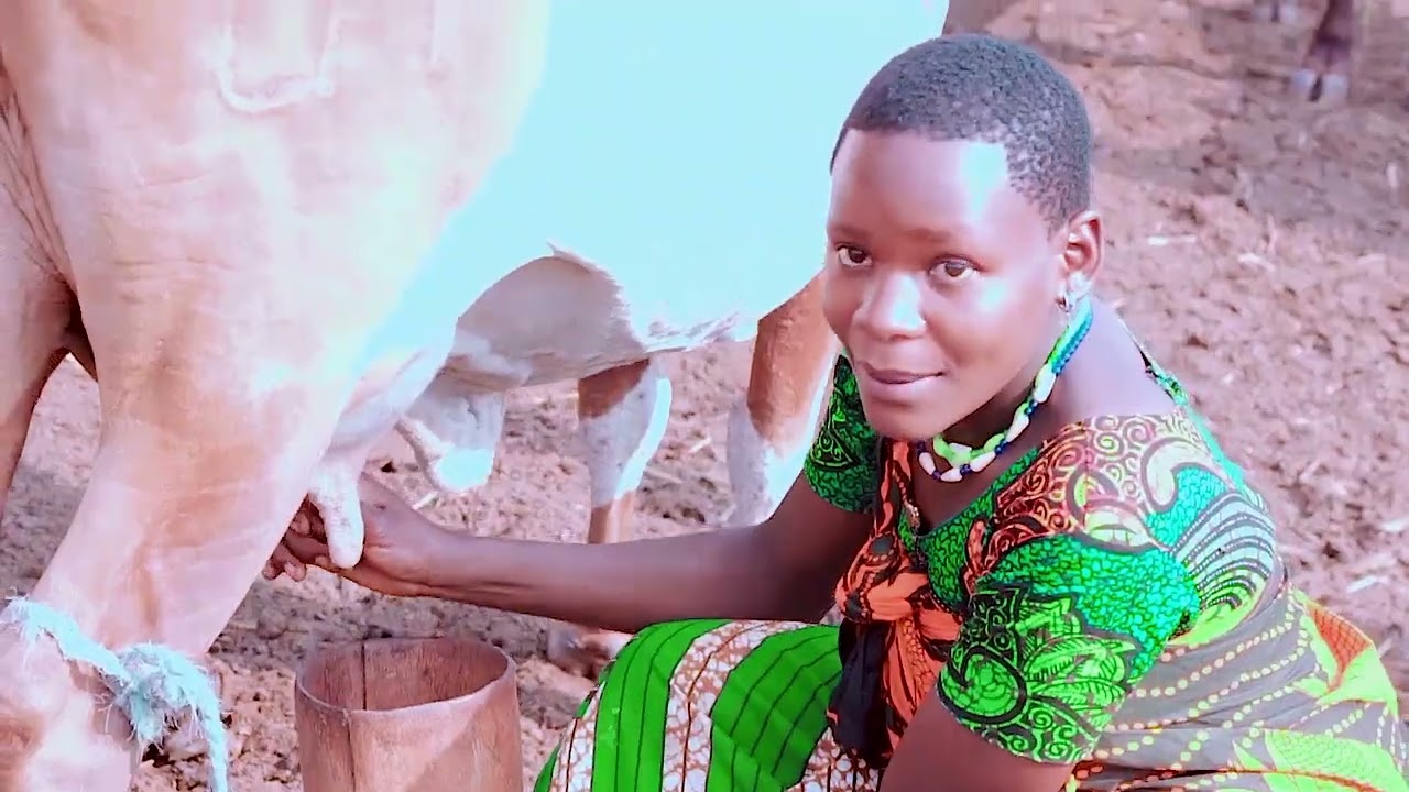 01/09/2025 mkwajaza ujumbe wa kwabhi official video dr badd9 ngosha msambzaji