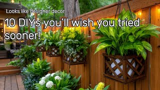 10 Genius New Dollar Tree Garden Hacks That Look Like Designer Decor – On a Tiny Budget!