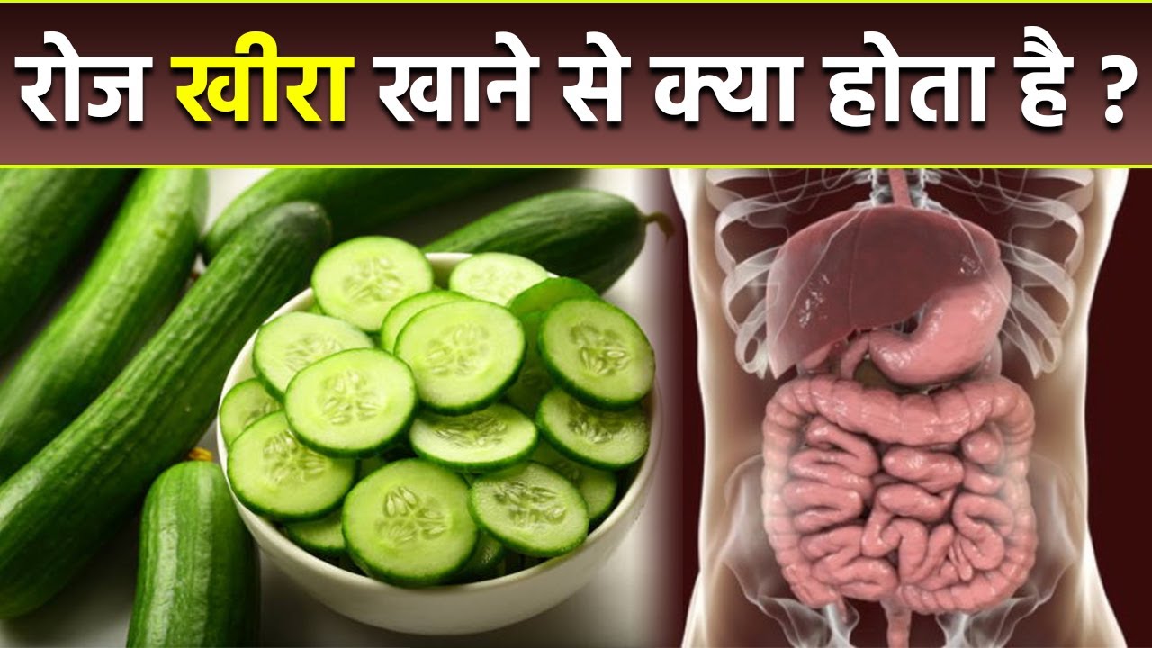 रोज खीरा खाने से क्या होता है Roj Kheera Khane Se Kya Hota Hai