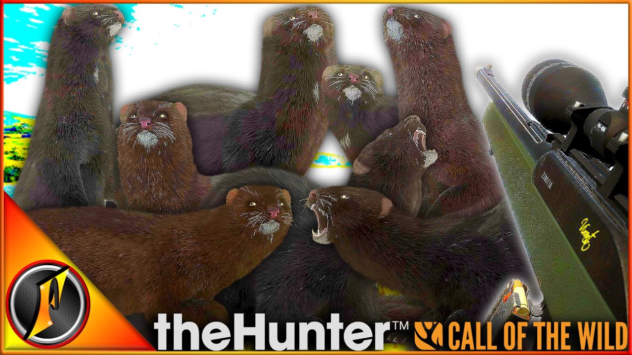 SO. MANY. MINKS! | Trophy Hunting on Scotland! | theHunter Call of the Wild