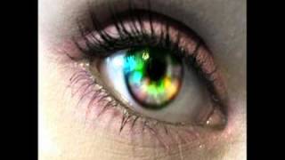 Synaesthesia: Living a Metaphor