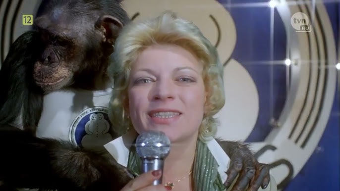 Semiz qizlar katta xorozlar tomonidan becerdin olish