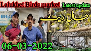 Lalukhet Birds Market Sunday video Latest update 06- 03-2022 Urdu\/ Hindi