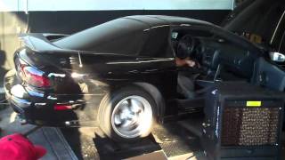 1999 Firehawk Dyno Pull
