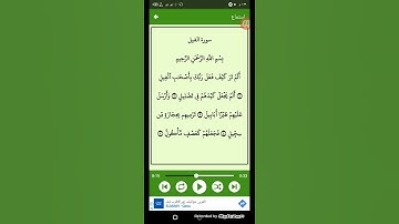 #سورة الفيل ( الشيخ سعد الغامدي ) ( 105 )