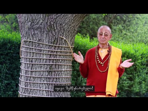 იყავი შემწყნარებელი | შივარამა სვამი