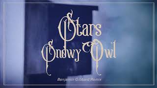 Stars - Snowy Owl (Benjamin Gibbard Remix - Visualizer)