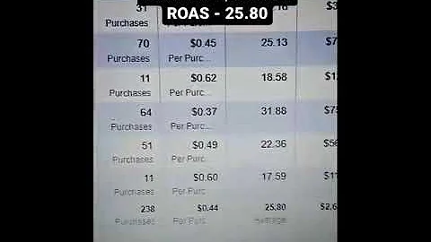 Scaled Ecom store to $100K+ in 21 days (few glimpes)