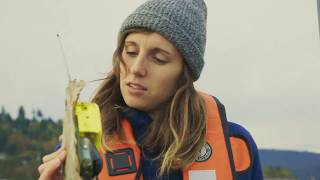 Marine animal research - UBC Faculty of Science