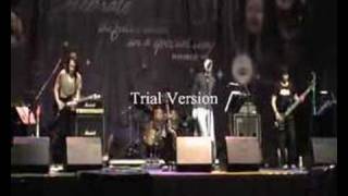 Cradle - Beautiful Day U2 Cover